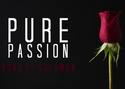 Song of Solomon: Pure Passion